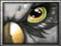 Watcher