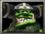 Raider